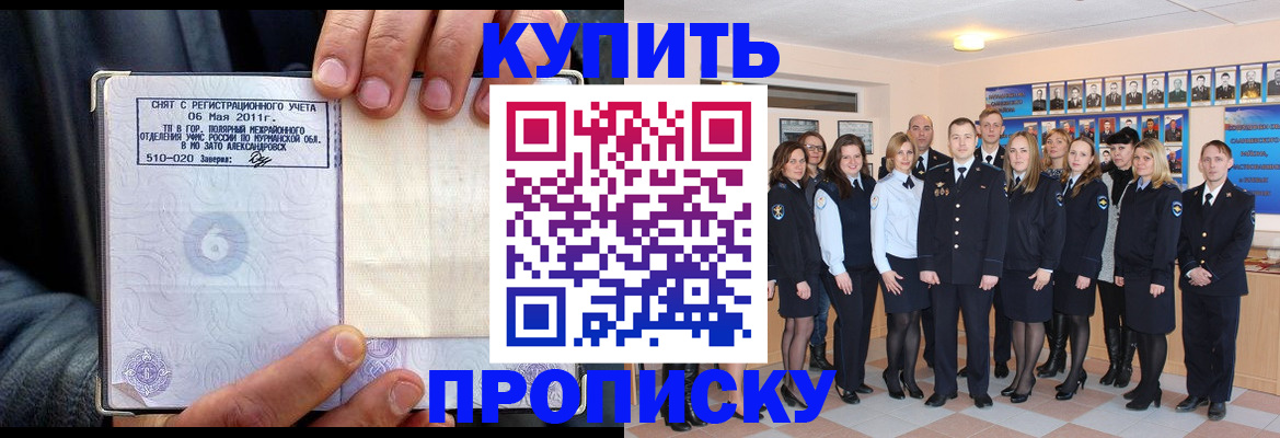 временная регистрация гарантия в Павловске